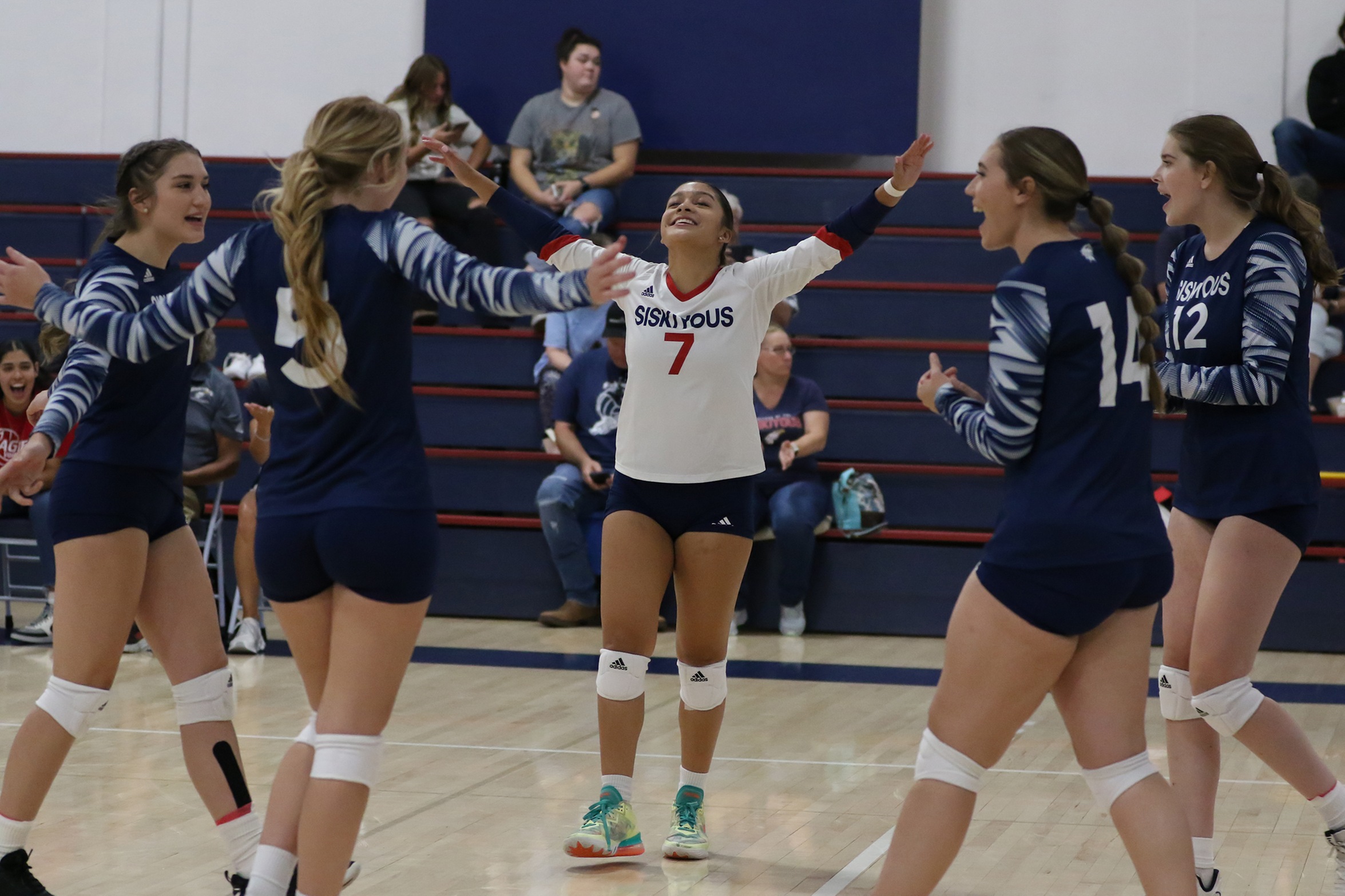 Volleyball Win Streak Includes Tourney Championship